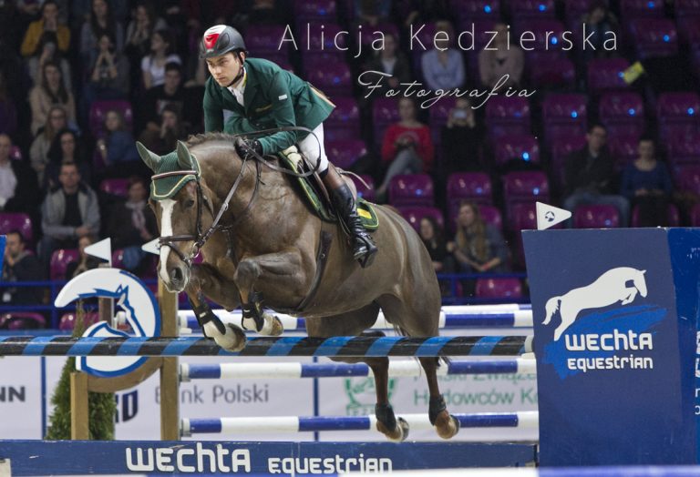 Żywienie koni sportowych – skoki