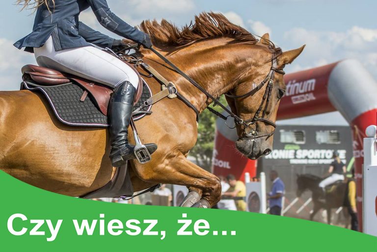 Słoma