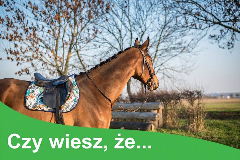 Problemy trawienne
