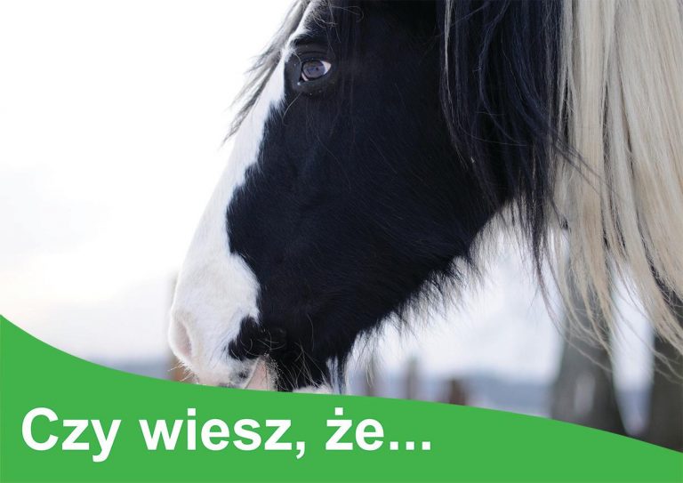 Rośliny niejadalne