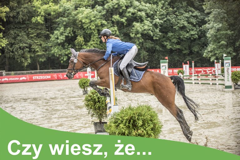 Energia z paszy