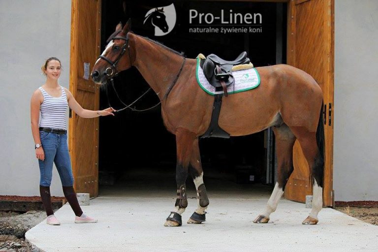 Metamorfoza – TBI Düsseldorf